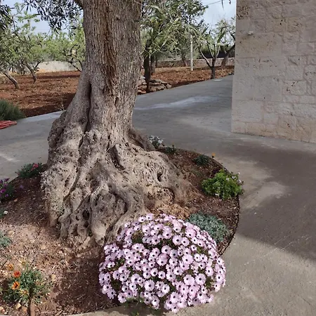 La Casa Di Pietra